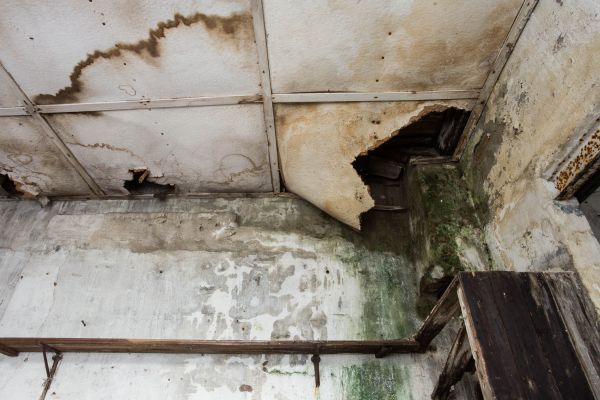 Cost of Water Damage Service in Flagstaff