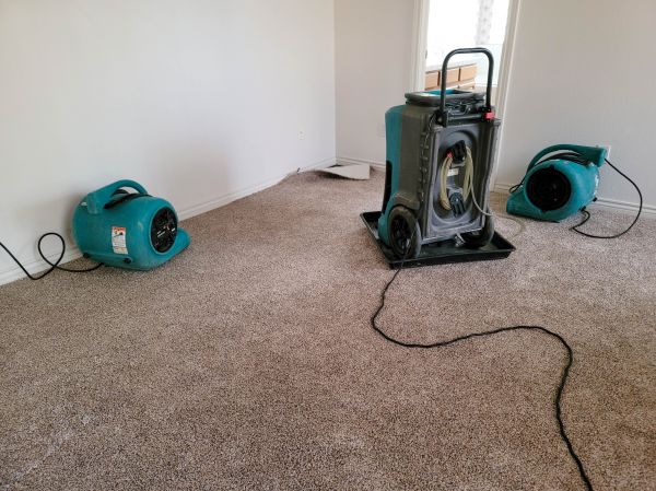 Cost of Flood Damage Repair in Flagstaff