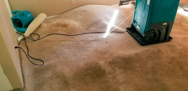 Cost of Flood Damage Cleanup in Flagstaff