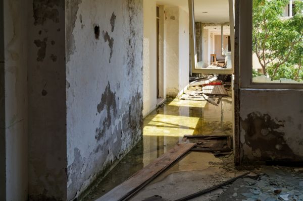 Cost of Water Removal Service in Flagstaff