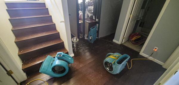Cost of Water Damage Remediation in Flagstaff