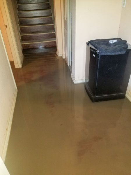 Cost of Emergency Water Removal in Flagstaff