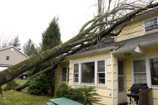 Cost of Storm Damage Mitigation in Flagstaff