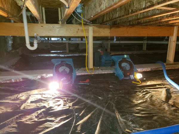 Cost of Crawlspace Water Removal in Flagstaff