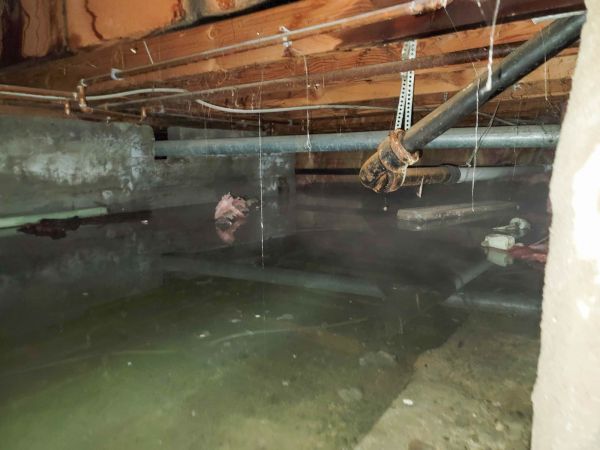 Cost of Crawlspace Water Restoration in Flagstaff